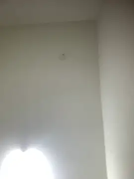 Snapshot of bidex002 chatting on 05/15/26, 11:45 bidex002 online show from 05/15/26, 11:45