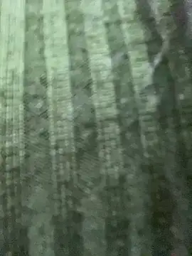 Rosita forever  online show from 02/24/25, 04:15