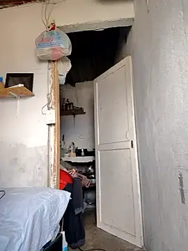 gatoalex89 online show from 01/09/26, 05:37