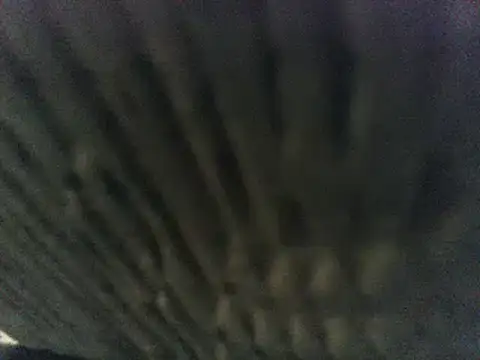 party51502 online show from 03/08/25, 07:20