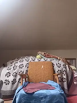 danitomii online show from 03/31/26, 06:25