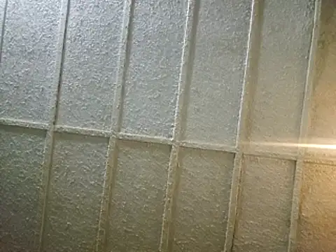 zaneporter46 online show from 02/08/25, 06:54