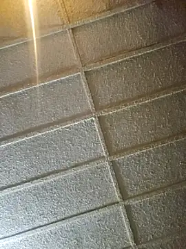 zaneporter46 online show from 02/08/25, 09:56