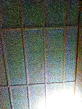 zaneporter46 online show from 03/01/25, 05:20