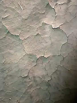 Guru2 online show from 01/16/26, 10:52