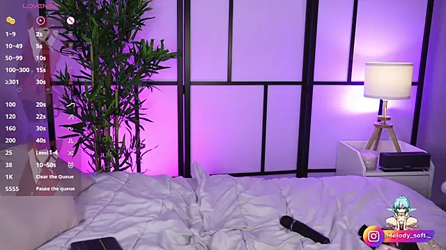 MelodySoft  online show from 01/17/25, 03:23