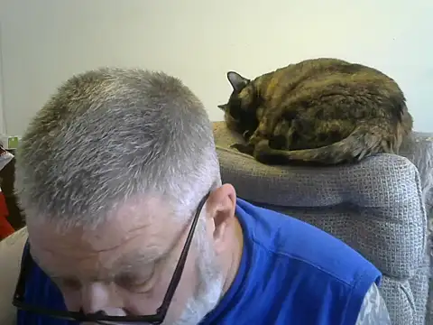 viejo oso online show from 10/05/25, 07:45