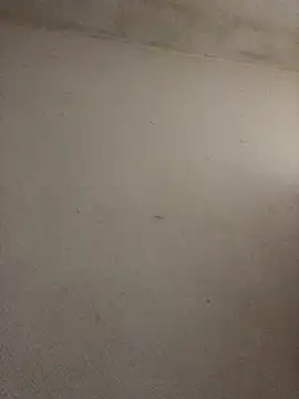 Snapshot of BELLAMORGANE1 chatting on 11/02/25, 09:22 BELLAMORGANE1 online show from 11/02/25, 09:22