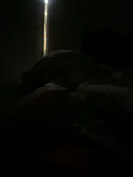 scottttyysc online show from 01/13/25, 11:17