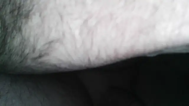 henry county couple2 online show from 04/30/26, 04:41