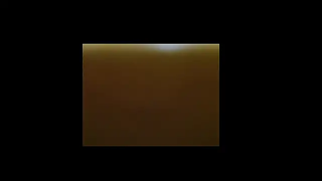 berberson online show from 12/30/24, 08:43