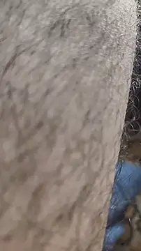 Snapshot of niyack69 chatting on 01/31/26, 11:03 niyack69 online show from 01/31/26, 11:03