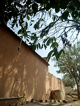 Snapshot of carria_homes chatting on 03/14/25, 09:14 carria homes online show from 03/14/25, 09:14