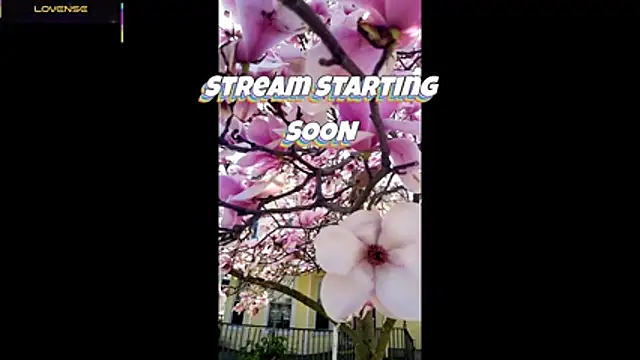 Snapshot of Hackensackneil chatting on 05/18/26, 01:28 Hackensackneil online show from 05/18/26, 01:28