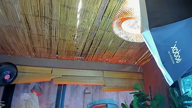 MarcoVitto online show from 11/18/25, 07:29