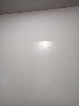 rosifernan online show from 02/13/25, 06:38