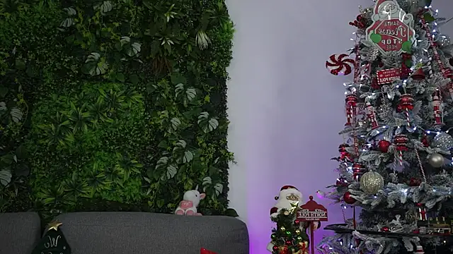 amiraroshen online show from 12/22/25, 08:06