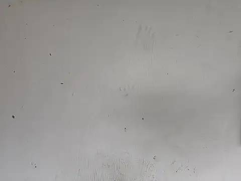 fs carioca online show from 12/02/25, 08:26