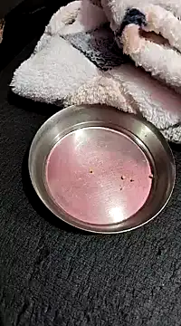 Whitehouse01 online show from 01/13/25, 02:42