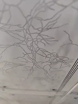 Snapshot of dreamers_dick chatting on 01/02/25, 04:13 dreamers dick online show from 01/02/25, 04:13