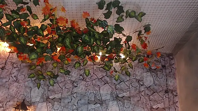 Lancelot Benwick online show from 01/07/25, 01:38