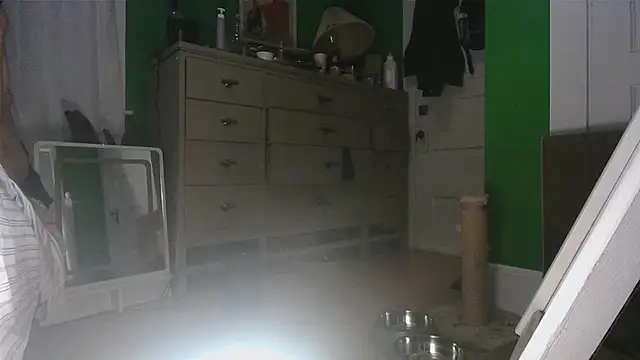 SadCatDaddy online show from 04/24/26, 04:15