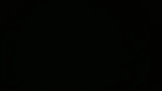 maison sofia1 online show from 03/28/26, 06:57