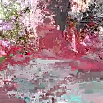 Kaizer1 online show from 10/26/25, 04:51