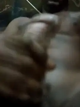 rodrig2107 online show from 04/11/26, 10:30