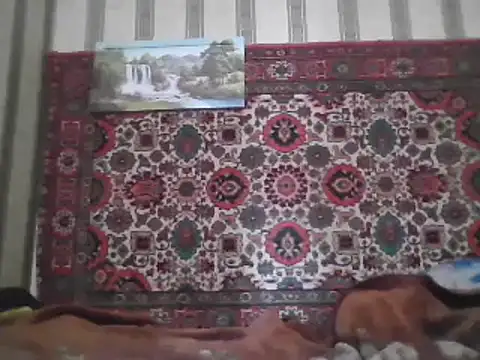 AlferezzSolvajo online show from 03/09/25, 06:50