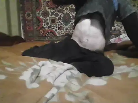 AlferezzSolvajo online show from 03/21/25, 05:34