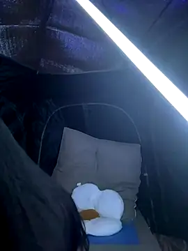 csck2025 online show from 11/29/25, 12:08