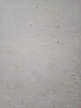 Pooja cut online show from 12/17/25, 02:28