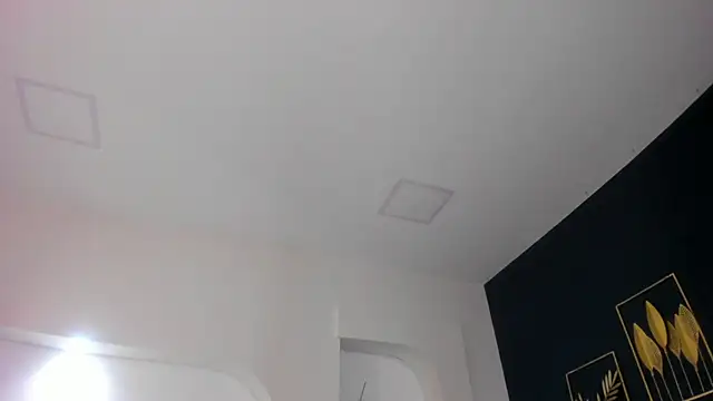 Snapshot of sara__jones_gh chatting on 11/26/25, 04:41 sara jones gh online show from 11/26/25, 04:41