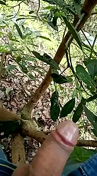 mmarvis za78 93 21cm online show from 02/05/25, 08:14