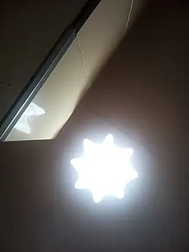 Lauren Amabel online show from 03/07/26, 09:23