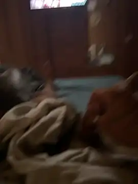 ferdi190 online show from 10/11/25, 10:58