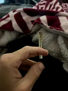 BCFZD online show from 12/04/25, 03:27