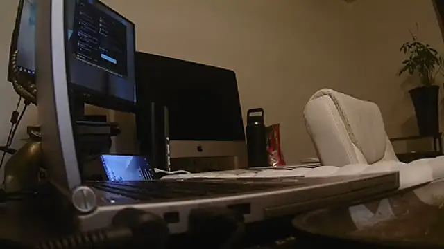 MrDaddyBbSnake online show from 04/24/26, 02:03