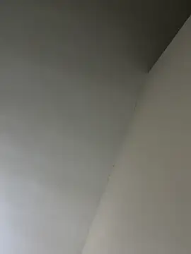 senle12ben online show from 01/25/25, 05:40