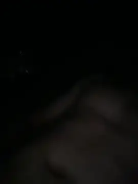 Az 89-23 online show from 02/27/26, 08:14