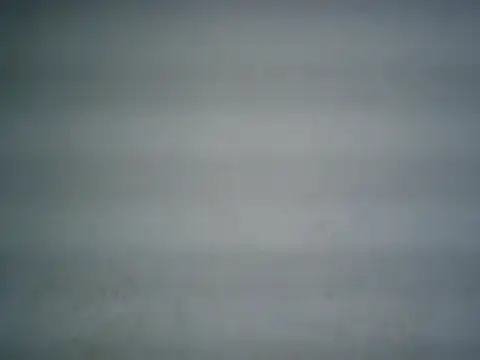 michel1520 online show from 07/02/26, 03:23