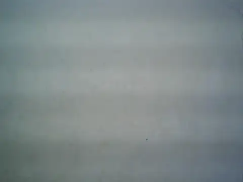 michel1520 online show from 07/16/26, 11:27