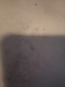 dany hardy online show from 03/24/26, 08:36