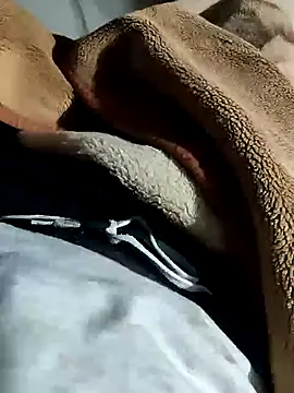 Raja gamer online show from 01/11/25, 03:31