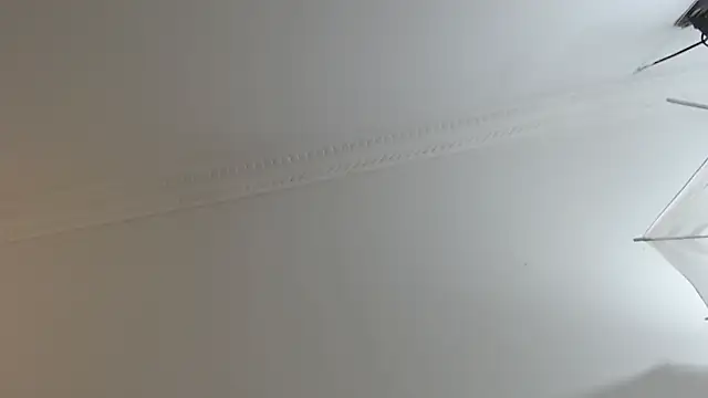 BrandonColee online show from 02/10/25, 12:29