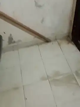 Jinenez online show from 02/26/25, 08:37