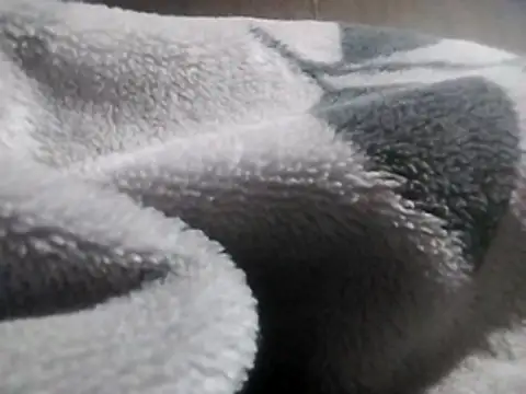 LaneYam online show from 03/12/26, 08:26