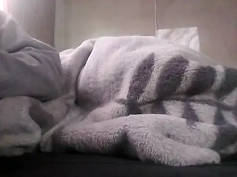 LaneYam online show from 04/24/26, 09:12