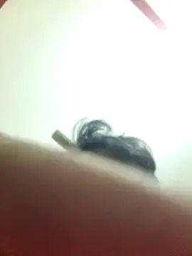 Marvelous Piyush online show from 03/06/25, 08:19